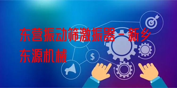 東營(yíng)振動(dòng)篩激振器 - 新鄉(xiāng)東源機(jī)械